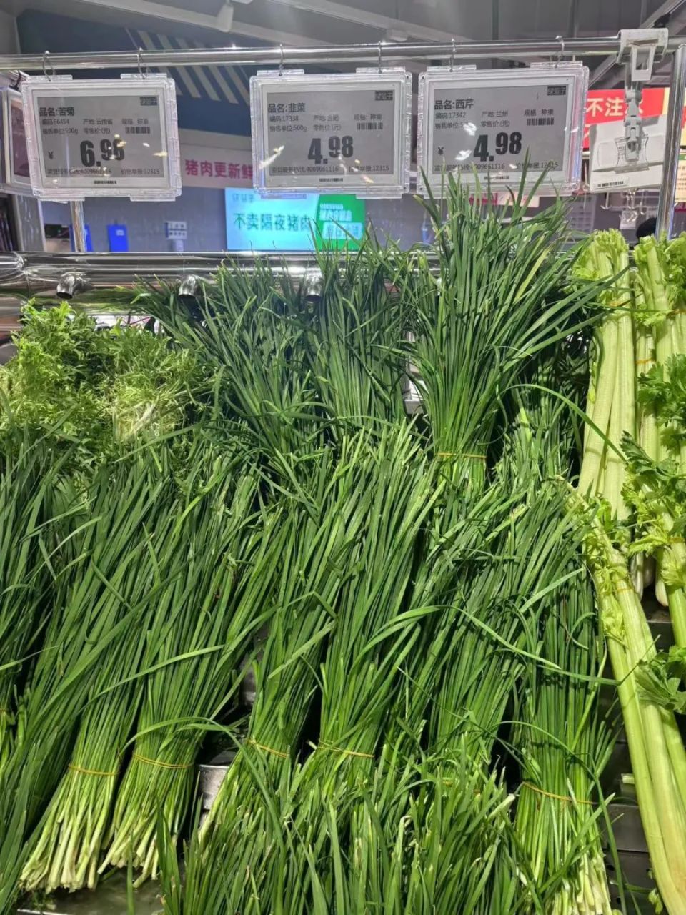 汉堡草菜现连败，保持不稳定状态